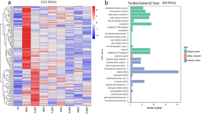 Transcriptomic Analysis Of Gene Expression Of Verticillium Dahliae Upon Treatment Of The Cotton Root Exudates Bmc Genomics Full Text