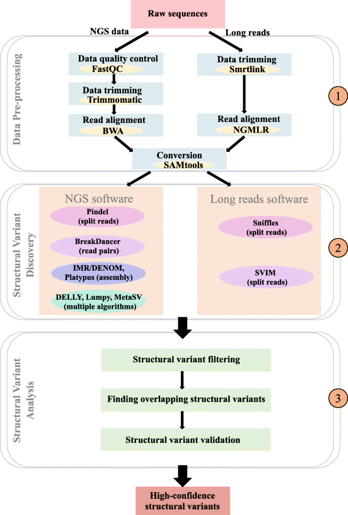 Comparison of AdaSVRG against SVRG variants, SVRG-BB and SARAH