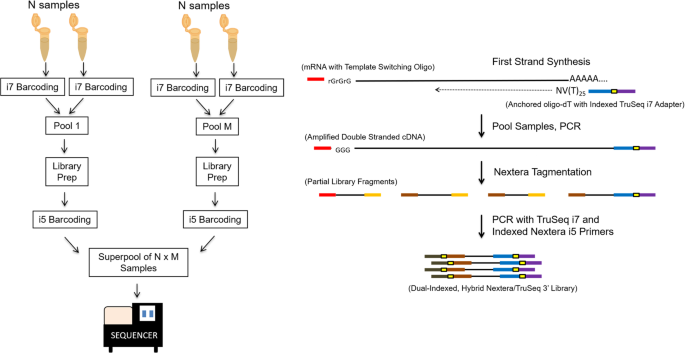 3 pool seq an optimized cost efficient
