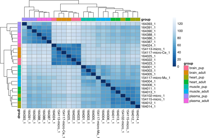 Microrna Profiling In The Weddell Seal Suggests Novel Regulatory Mechanisms Contributing To Diving Adaptation Bmc Genomics Full Text