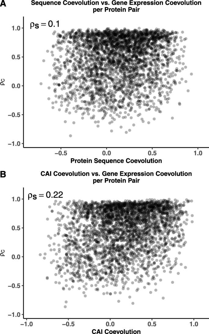 Coevolution at the proteome scale - Institute for Protein Design