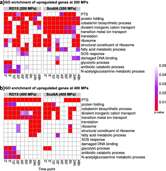 High Pressure Processing Induced Transcriptome Response During Recovery Of Listeria Monocytogenes Bmc Genomics Full Text