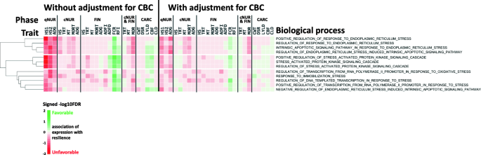 Quantitative analysis of the blood transcriptome of young healthy pigs and  its relationship with subsequent disease resilience | BMC Genomics | Full  Text