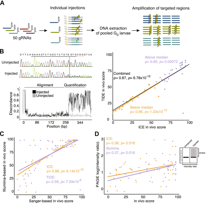 Evaluation Of Crispr Gene Editing Tools In Zebrafish Bmc Genomics Full Text