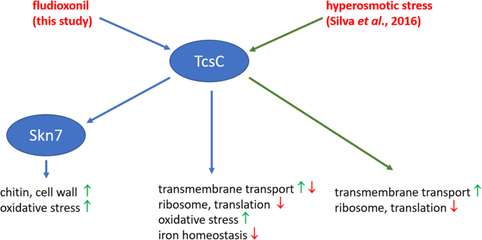 figure 14