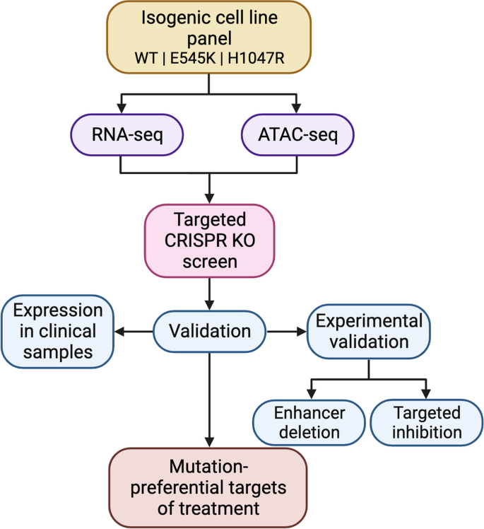 research breast cancer gene figure 1
