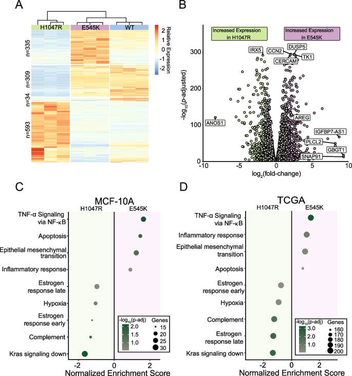 research breast cancer gene figure 2