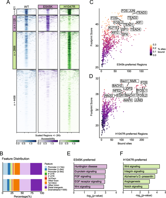 research breast cancer gene figure 3