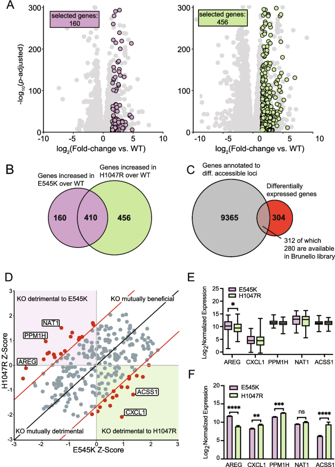 research breast cancer gene figure 4
