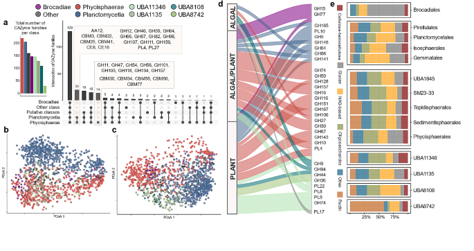 non parametric test in research figure 2
