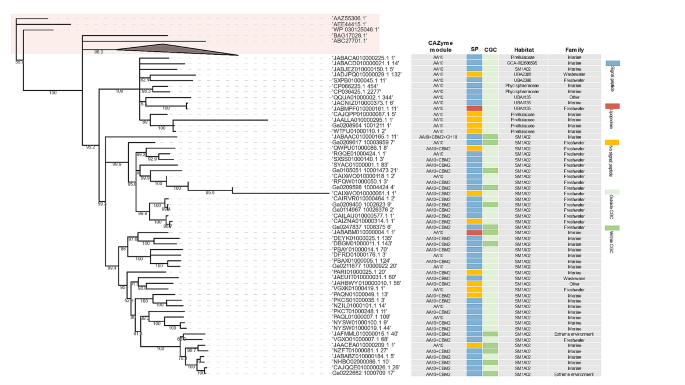 non parametric test in research figure 4