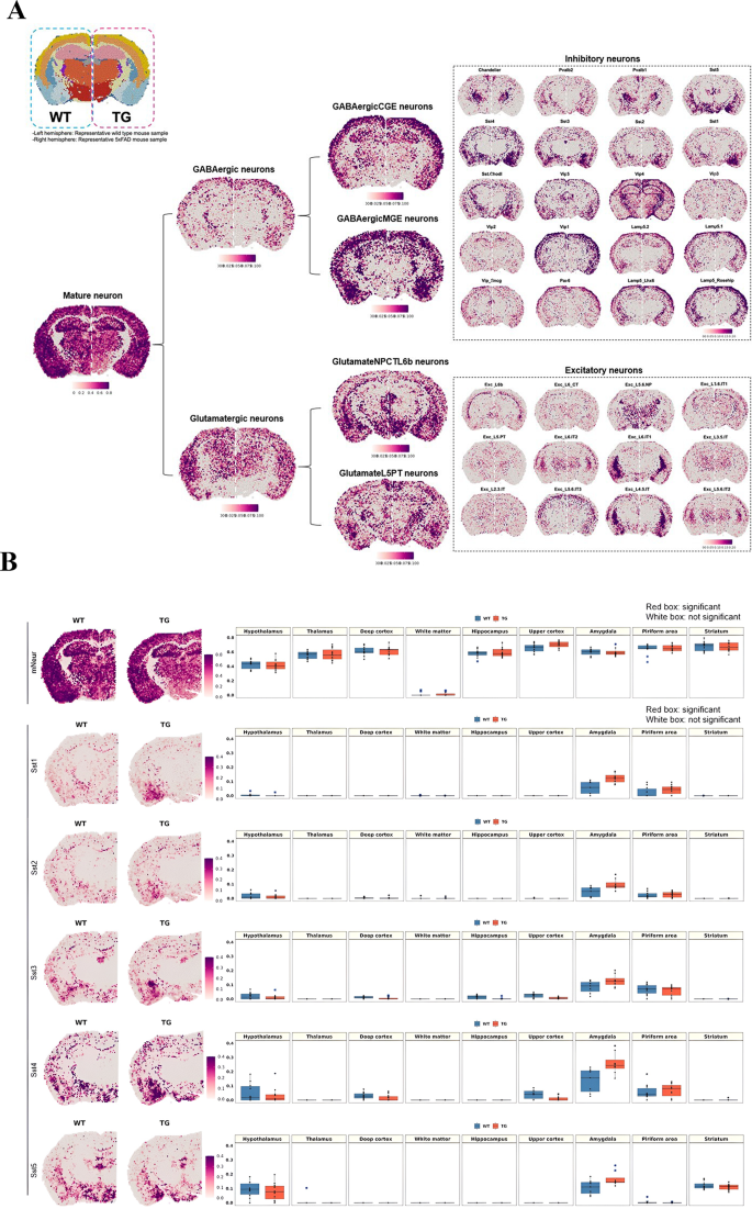 specific language impairment literature review figure 1