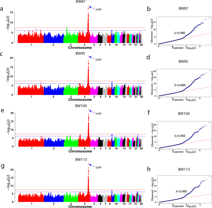 research studies on food technology figure 4
