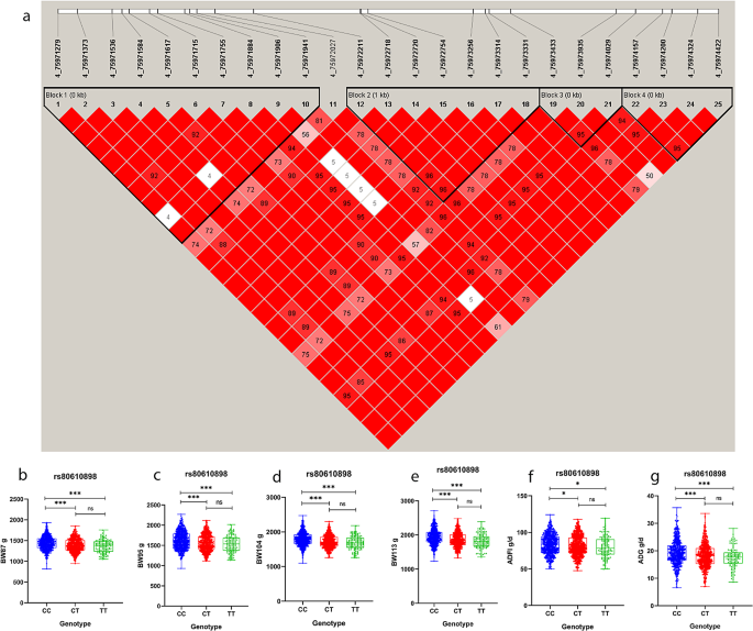 research studies on food technology figure 6