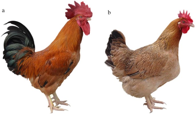 research studies on food technology figure 1