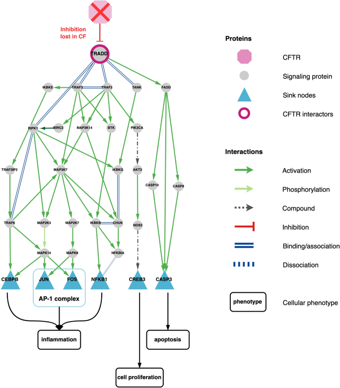 Recevoir un diagnostic de fibrose kystique
