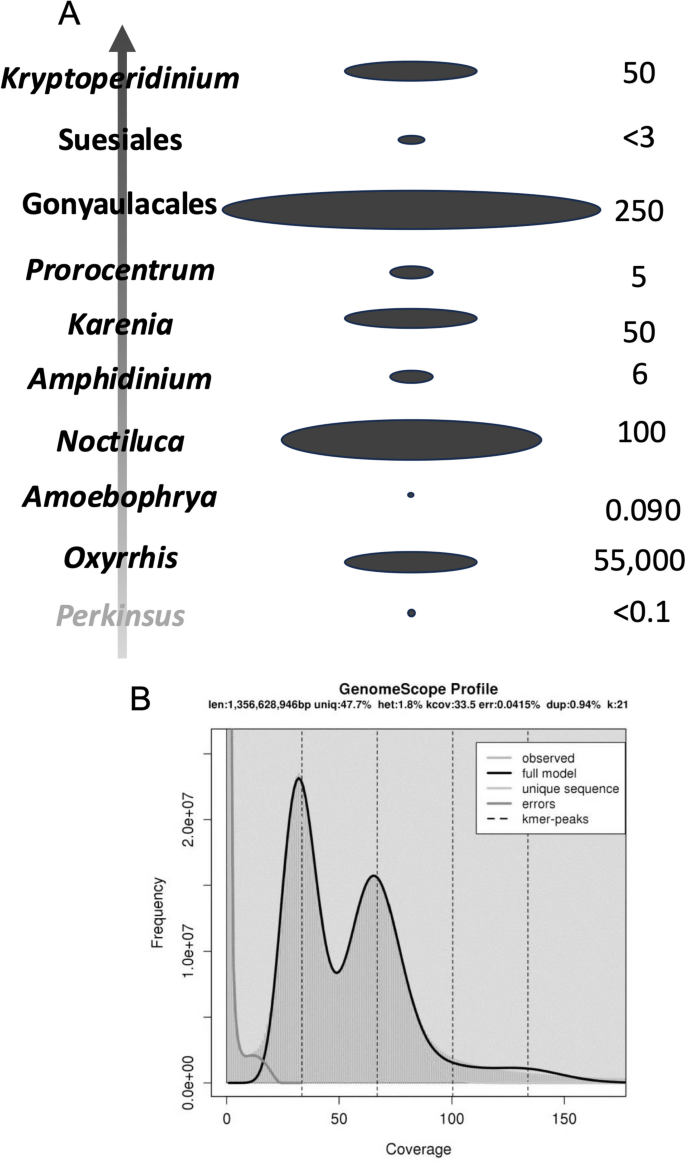 Kingdom Protista - BIOLOGY4ISC, image size:685x1162