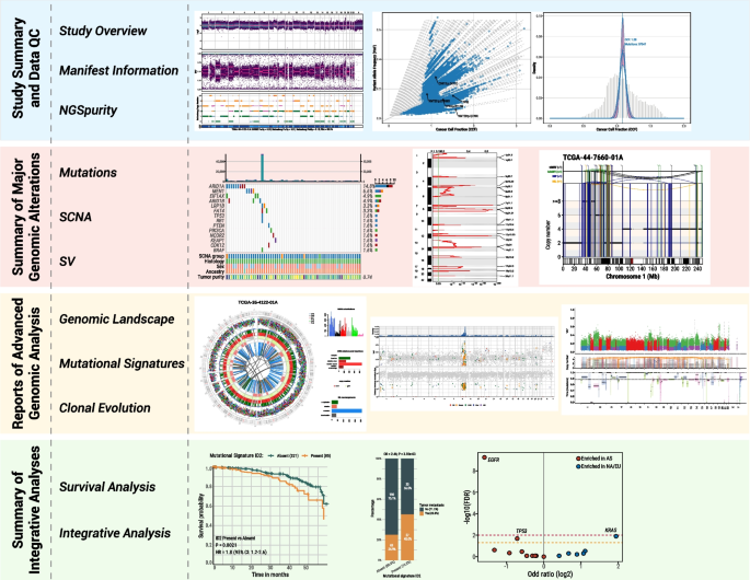 Sherlock Visualization Sherlock-Genome: an R Shiny application for genomic analysis and ...