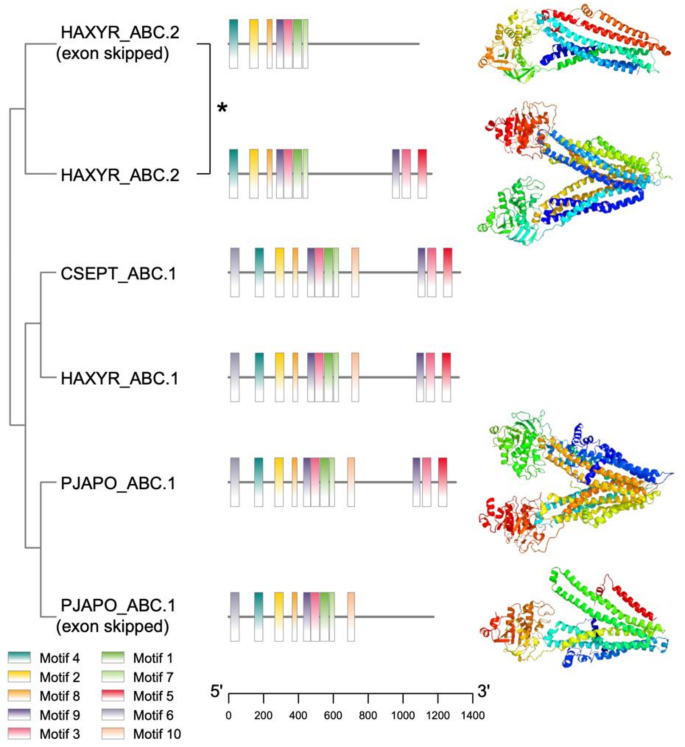 figure 4