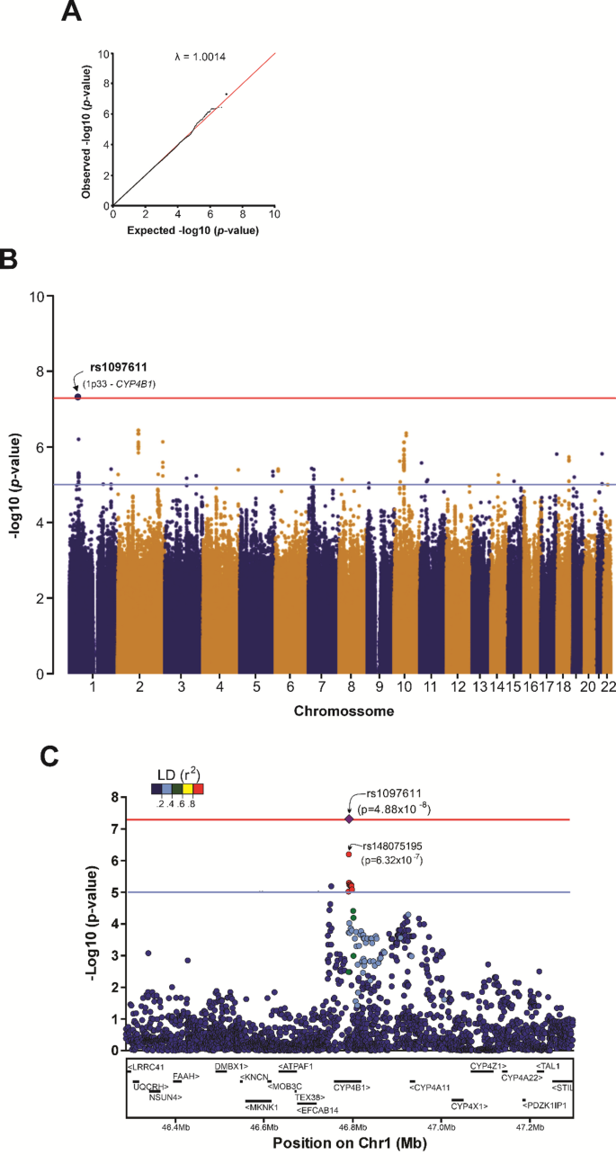 genetic diversity fuels gene discovery for tobacco and alcohol use Uncovering genetic mechanisms associated with harmful use of alcohol in  admixed Latin Americans | BMC Genomics
