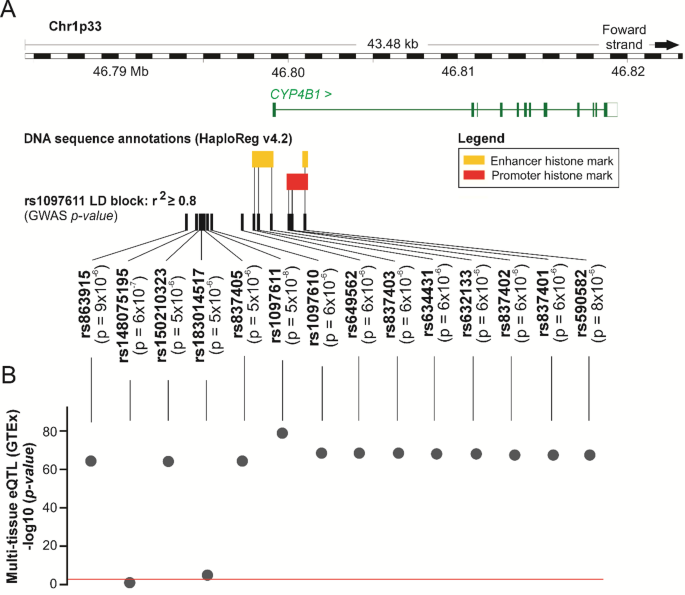 genetic diversity fuels gene discovery for tobacco and alcohol use Uncovering genetic mechanisms associated with harmful use of alcohol in  admixed Latin Americans | BMC Genomics