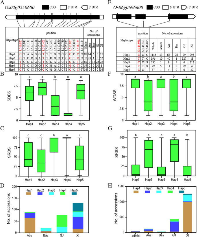 Combining QTL mapping and transcriptomics to identify candidate genes ...