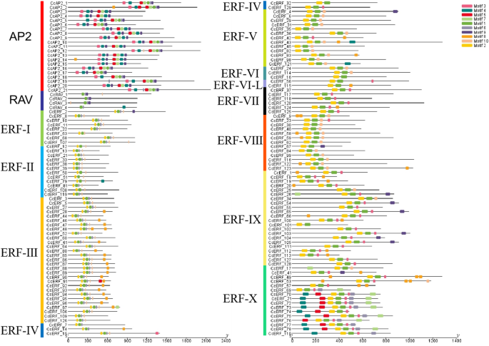 Genome-wide identification and characterization of the AP2/ERF gene ...