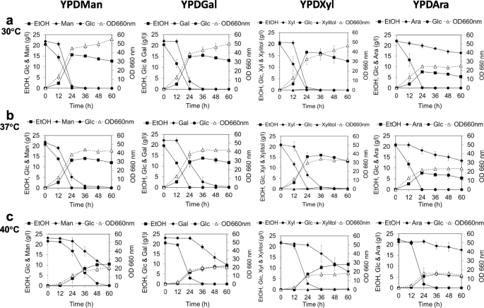 Highly Efficient Conversion Of Xylose To Ethanol Without Glucose Repression By Newly Isolated Thermotolerant Spathaspora Passalidarum Cmuwf1 2 Bmc Microbiology Full Text