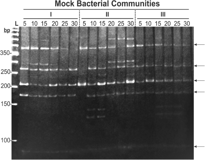 bmc microbiology biomed central