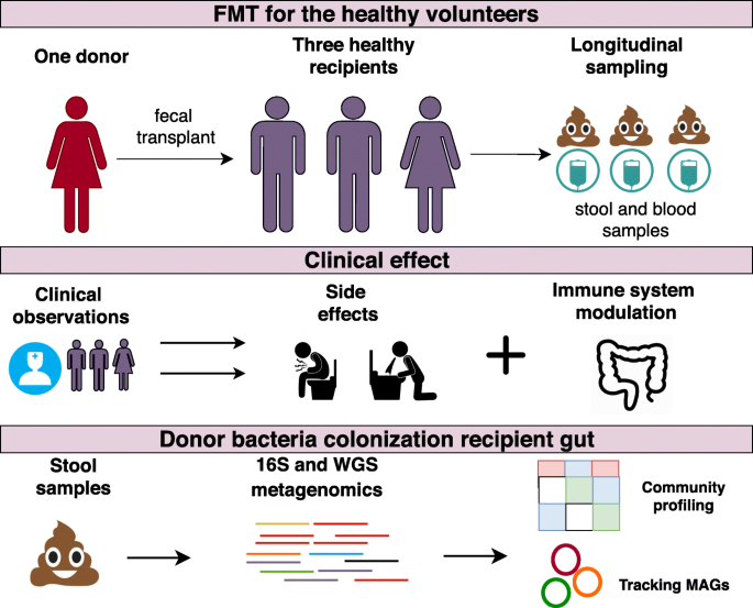 Long-term impact of fecal transplantation in healthy volunteers | BMC  Microbiology | Full Text
