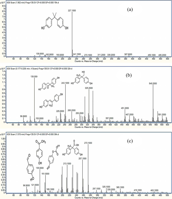 Biodegradation Of Endocrine Disruptor Bisphenol A By Pseudomonas Putida Strain Yc Ae1 Isolated From Polluted Soil Guangdong China Bmc Microbiology Full Text Biodegradation Of Endocrine Disruptor Bisphenol A By Pseudomonas Putida Strain Yc Ae1 Isolated From Polluted Soil Guangdong China Bmc Microbiology Full Text