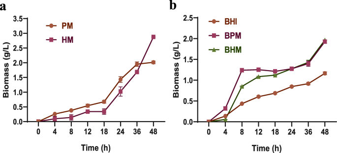 Study Of Growth Metabolism And Morphology Of Akkermansia Muciniphila With An In Vitro Advanced Bionic Intestinal Reactor Bmc Microbiology Full Text