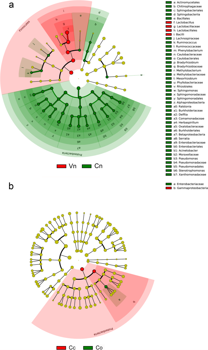 Distinction Between Vaginal And Cervical Microbiota In High Risk Human Papilloma Virus Infected Women In China Bmc Microbiology Full Text