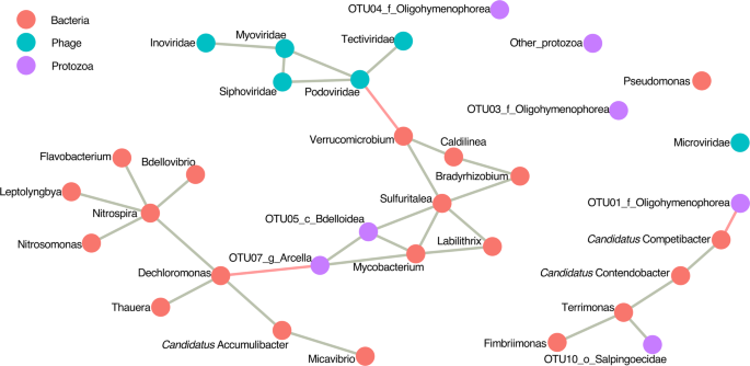 Microbial Predation Accelerates Granulation And Modulates Microbial Community Composition Springerlink Microbial Predation Accelerates Granulation And Modulates Microbial Community Composition Springerlink