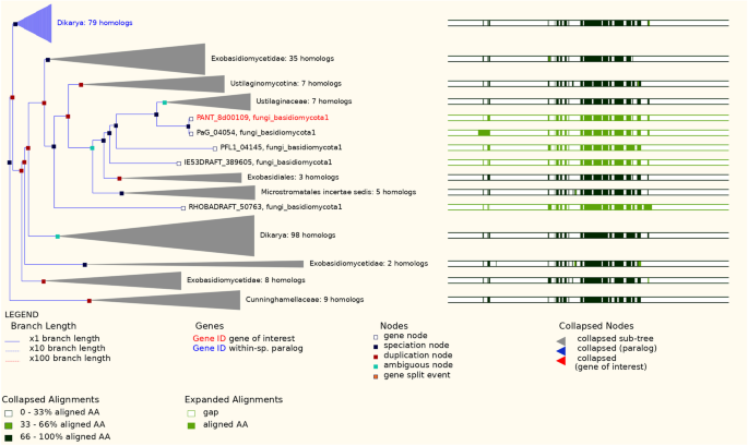 figure 17