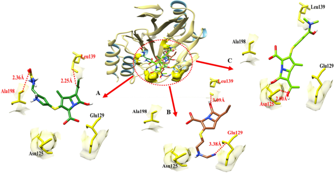 figure 19