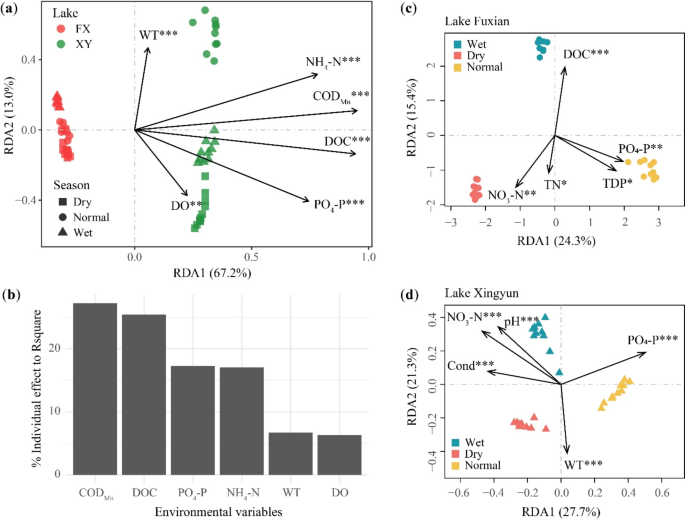 significance of study in research sample figure 5