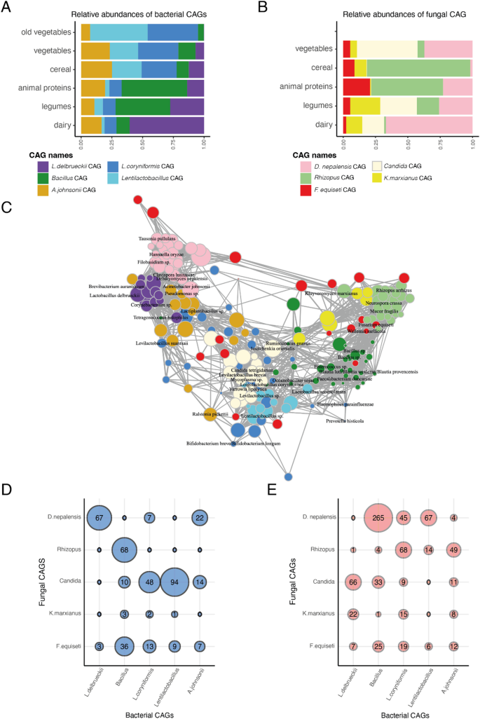 Ecological factors that drive microbial communities in culturally ...