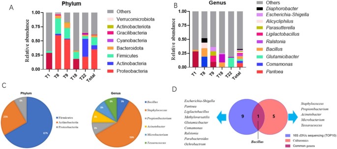 Correction: Isolation, culture, and in vitro functional validation of ...