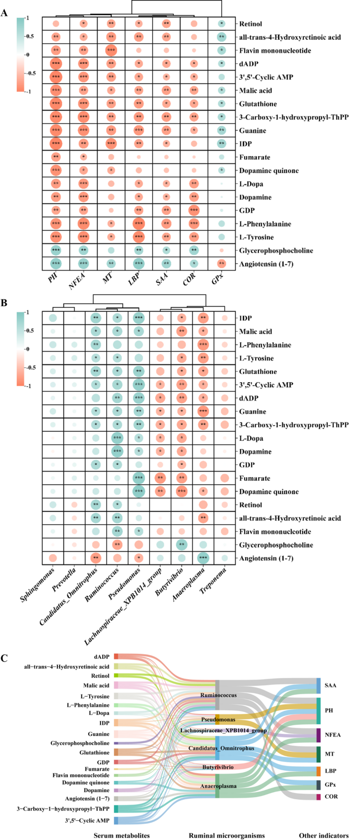 glutathione circadian rhythm Multi-omics analysis reveals disruption of rumen microbiota and serum metabolites in Tibetan sheep under transport stress | BMC Microbiology IQ Deluxe Editions - men face wash Vial Size:30ml Vial
