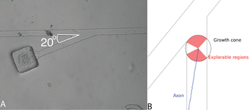 figure 16