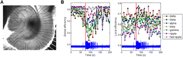 figure 65