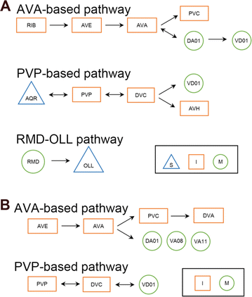 figure 75