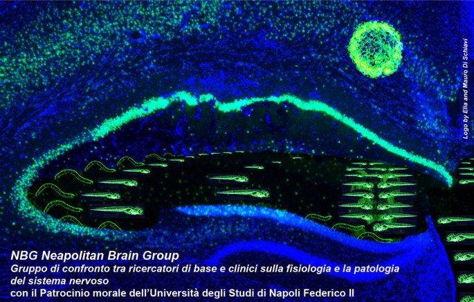 Abstracts of the 6th Meeting of the Neapolitan Brain Group | BMC  Neuroscience | Full Text