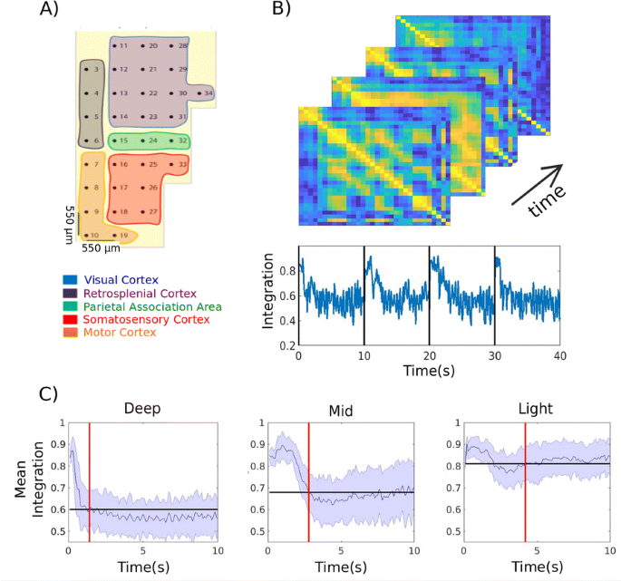 figure 106