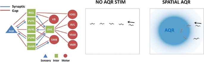 figure111