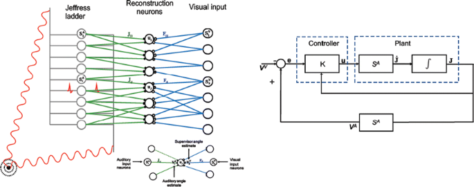 figure 114