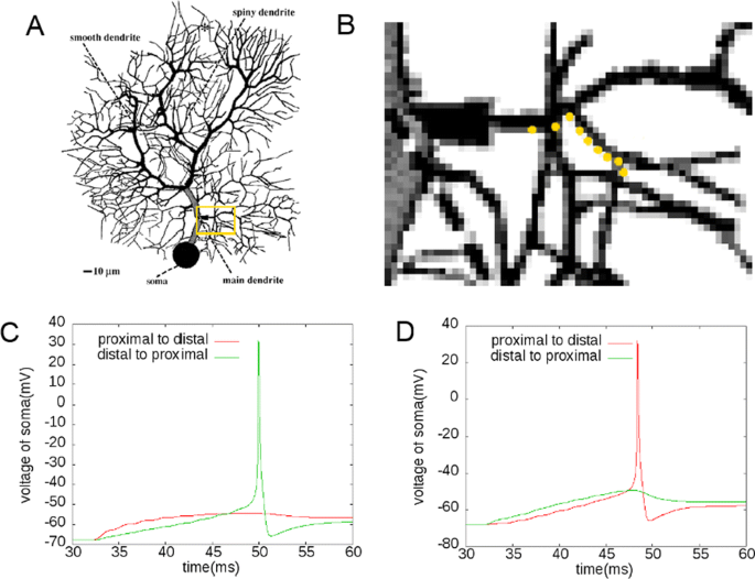 figure 137