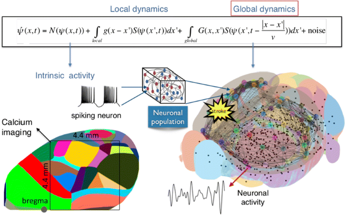 figure4