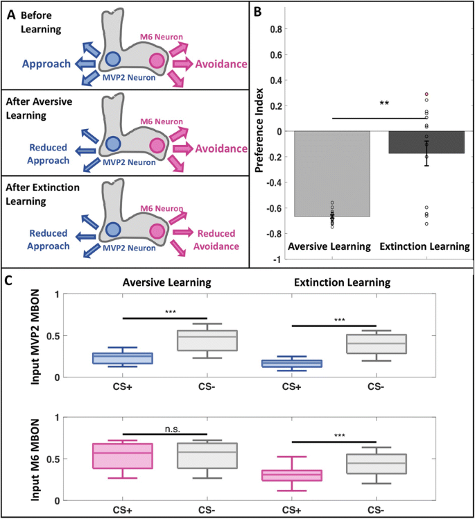 figure 90